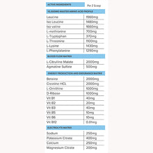 Load image into Gallery viewer, PRIMABOLICS | INTRAWAR 3.0 - Complex Amino Acid