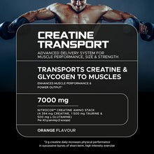 Load image into Gallery viewer, USN® | Creatine Transport