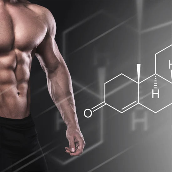 Testosterone | Supplements Direct®