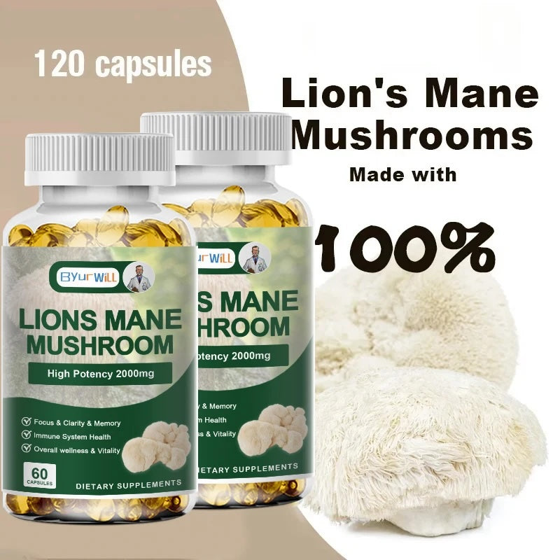Lion's Mane Mushroom