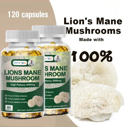 Lion's Mane Mushroom