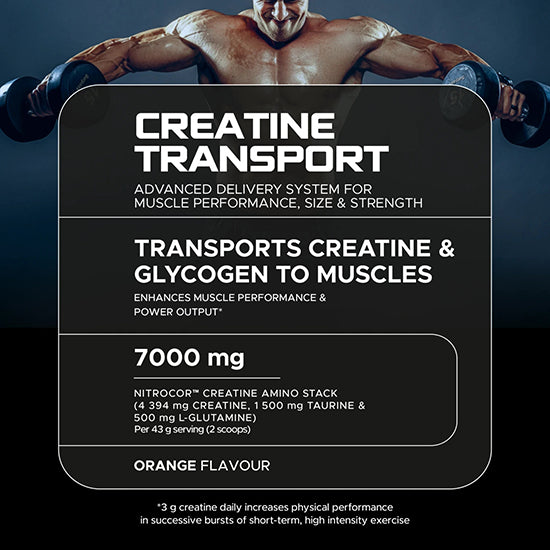 USN® | Creatine Transport