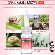 Load image into Gallery viewer, Snail Essence Wrinkle Serum (3 vials per order)Skin Care Moisturising Repair Cream Acne Serum

